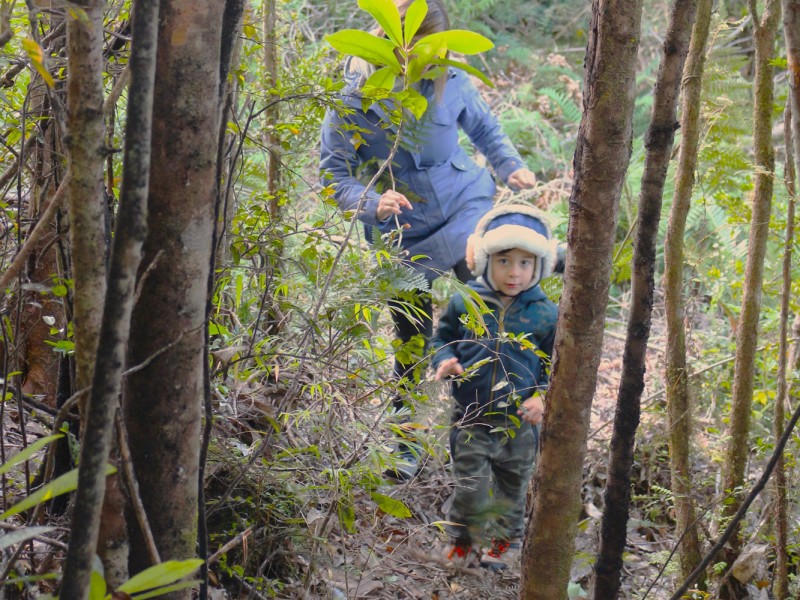 Rodeado de Naturaleza - Parcelas Altos de Lenca | Parcelas en Puerto Montt  $34.900.000